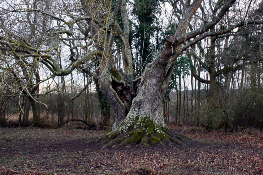 Crossing the Leycester Bridge by Crispin Heesom
