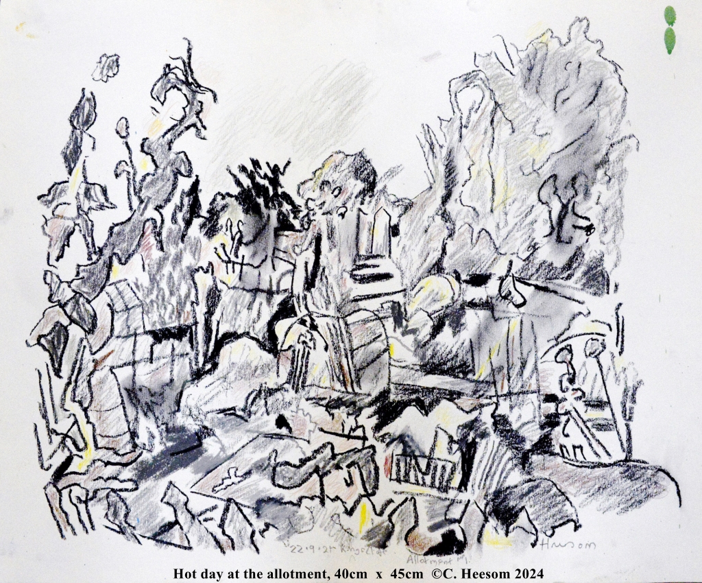 Hot Day at the Allotment, pen & ink by Crispin Heesom