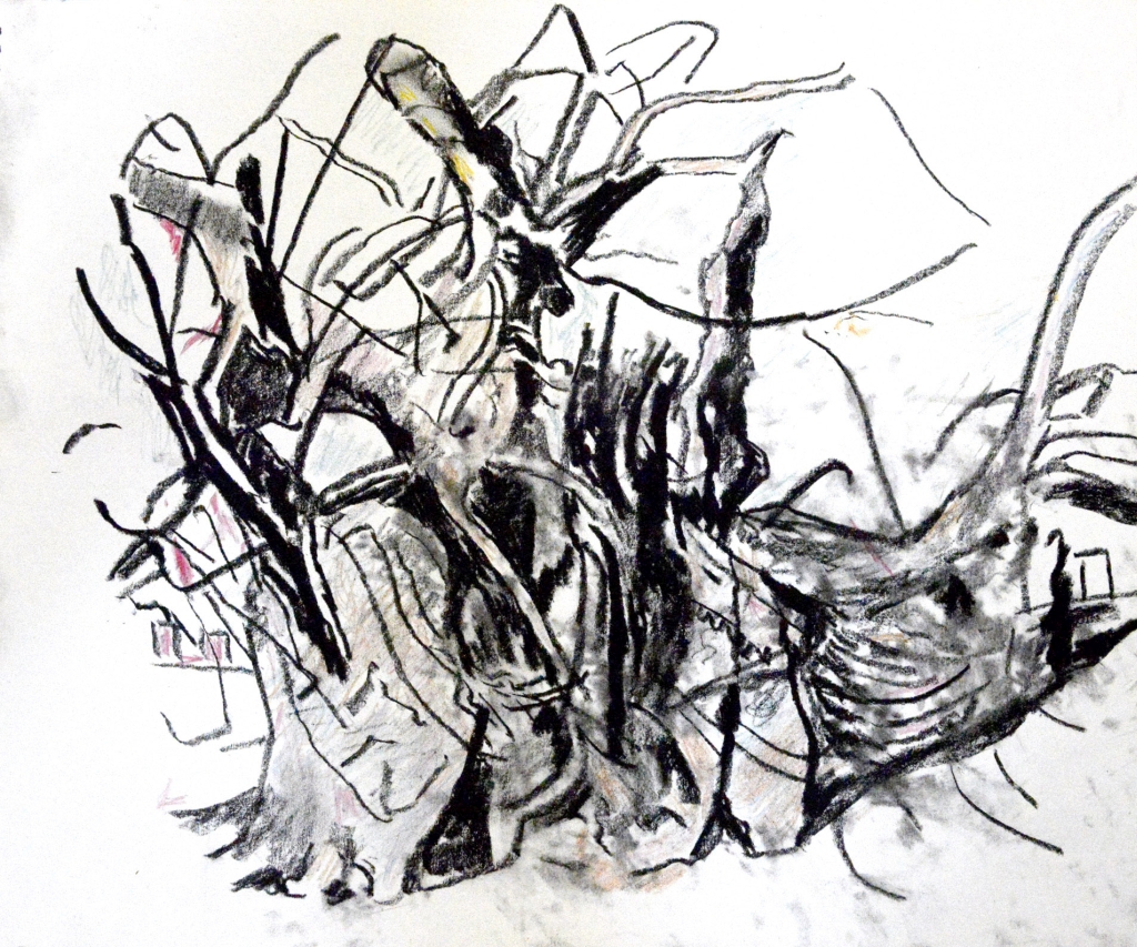 The Bowthorpe Oak, no. 1 by Crispin Heesom