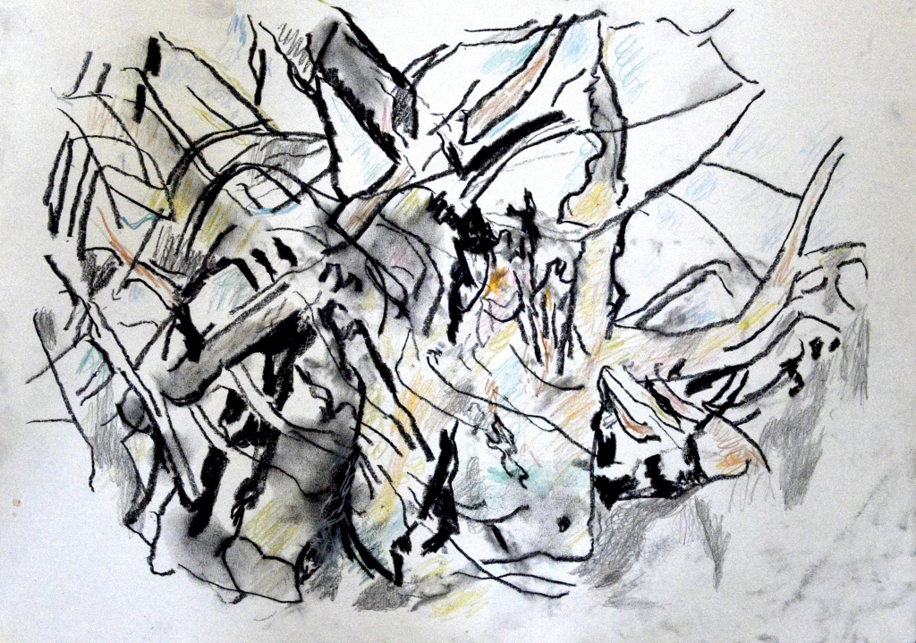 The Bowthorpe Oak, no. 2 by Crispin Heesom